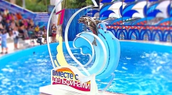 Кто победитель тв шоу Вместе с дельфинами?