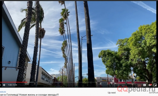 белые следы от самолетов в небе Лос-Анжелеса