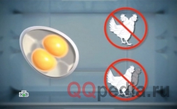 Опасны ли яйца с двумя желтками внутри?