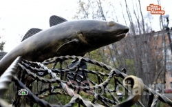 В каком городе установлен памятник рыбы Трески